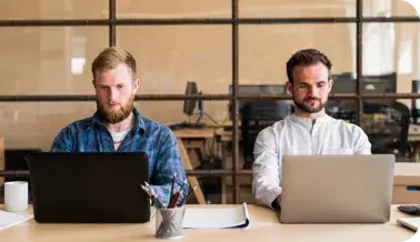 Professional IT Services